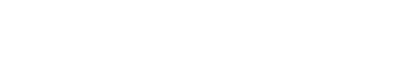 Novum Agency